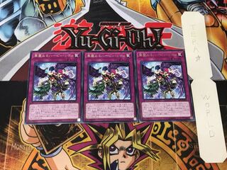 Harpie Lady Elegance 2 Rare Set of 3 Tera