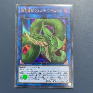 遊戯王 捕食植物ヴェルテ・アナコンダ 【ウルトラレア】