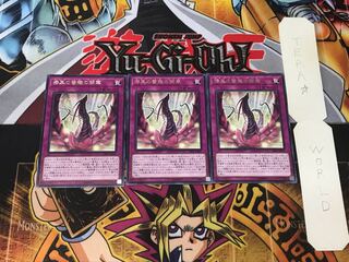 漆黒の薔薇の開華 1 レア 3枚セット てら