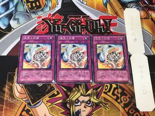 宝玉の双璧 3 レア 3枚セット てら