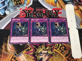 霊獣の騎襲 1 レア 3枚セット てら