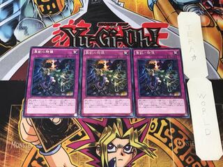 霊獣の騎襲 6 レア 3枚セット てら