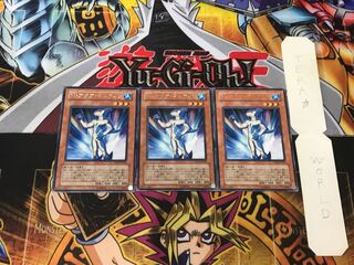 N・アクア・ドルフィン 3 レア 3枚セット てら