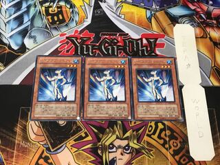 N・アクア・ドルフィン 4 レア 3枚セット てら