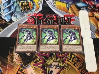 ZS-Consecrate Sage 3 Rare Set of 3 Tera.