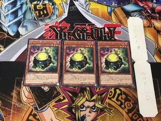 Kuribandit 3 Rare Set of 3 Tera