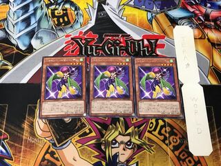 Toon Harpie Lady 1 rare, set of 3 Tera.