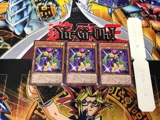 Toon Harpie Lady 2 rare, set of 3 Tera.