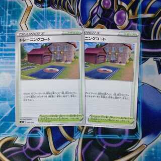 Training Court Set of 2