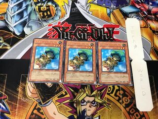 Fiber Jar DL5 1 rare, set of 3 Tera.