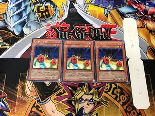 Cherry Inmato 2 rare, set of 3 tera