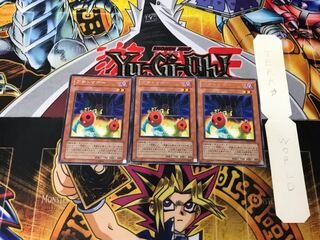 Cherry Inmato 3 rare, set of 3 Tera