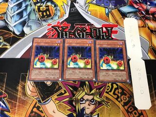 Cherry Inmato 5 rare, set of 3 Tera.