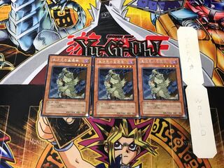 D.D. Survivor 3 rare, set of 3 Tera.