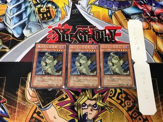 D.D. Survivor 5 rare, set of 3 Tera.