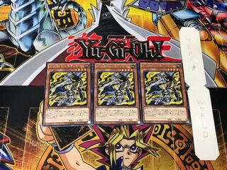 十二獣モルモラット 2 レア 3枚セット てら