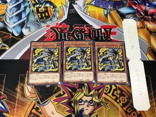 十二獣モルモラット 3 レア 3枚セット てら