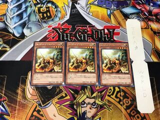 Noble Knight Gawayn 3 rare, set of 3 Tera.