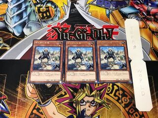 Motivating Captain 4 Rare, set of 3 Tera.