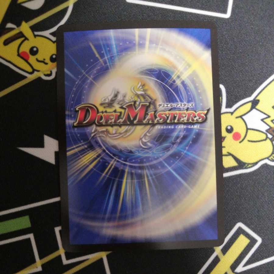 Puchohenza, chief of the Hundred Tribes