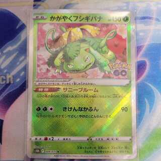 かがやくフシギバナ