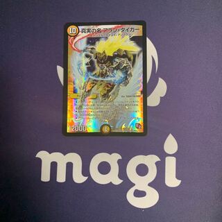 The True Name Arashi Tiger