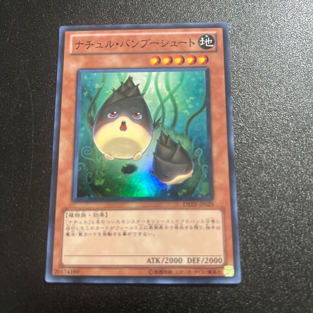 Naturia Bamboo Shoot