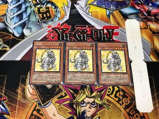 Crystal Beast Topaz Tiger 4 rare, set of 3 Tera.