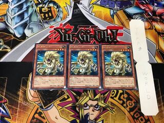 Heraldic Beast Leo 1 rare, set of 3 Tera.