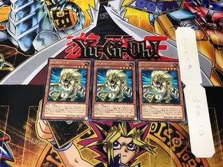 Heraldic Beast Leo 5 rare, set of 3 Tera.