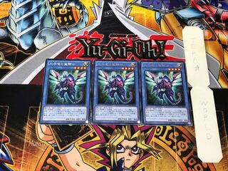 光子竜の聖騎士 2 レア 3枚セット てら