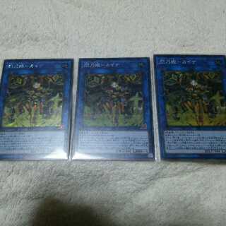 閃刀姫―カイナ SE SAST-JP055