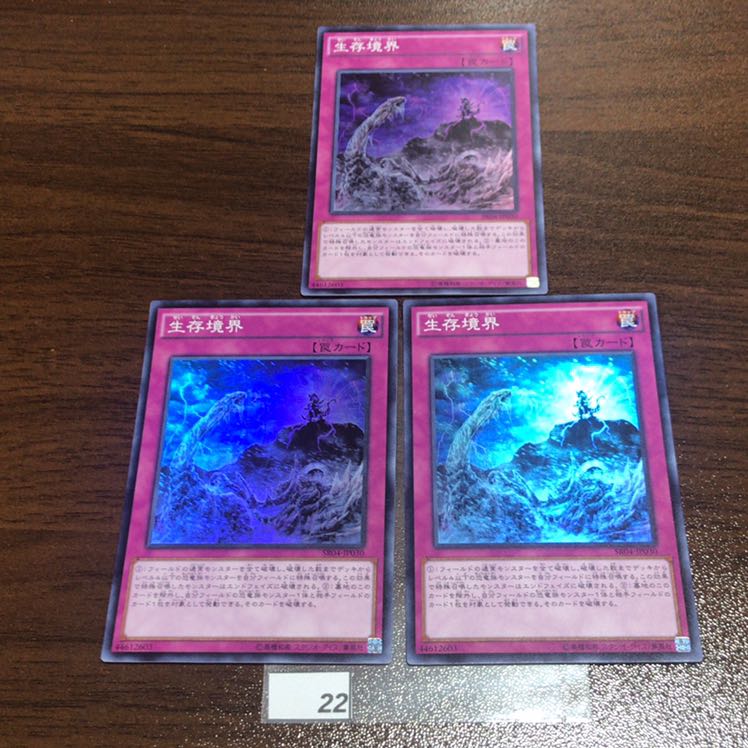 生存境界　SR04-JP030 SR ３枚セット