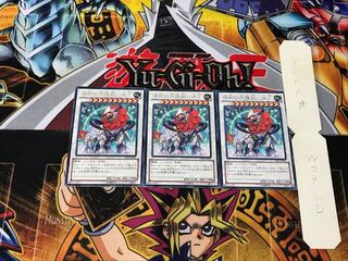 神樹の守護獣-牙王 5 レア 3枚セット てら