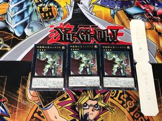 Sacred Noble Knight of King Custennin 2 rare, set of 3 Tera.