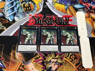 Sacred Noble Knight of King Custennin 3 rare, set of 3 Tera.