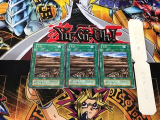 荒野 1 初期 レア 3枚セット てら