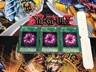 Violet Crystal 1 Early Rare Set of 3 Tera.