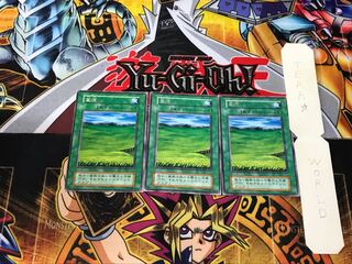 Grasslands 1 Early Rare Set of 3 Tera.