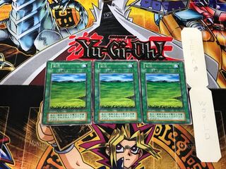 Grasslands 2 Early Rare Set of 3 Tera.