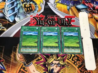 Grasslands 5 Early Rare Set of 3 Tera.