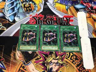 Beast Fangs 5 Early Rare Set of 3 Tera