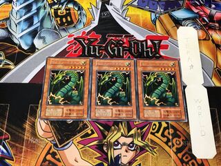 サンダー・ドラゴン 4 初期 レア 3枚セット てら