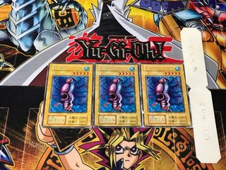 Cactus 1 Early Rare Set of 3 Tera.