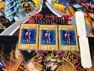 Cactus 2 Early Rare Set of 3 Tera.