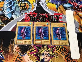 Cactus 4 Early Rare Set of 3 Tera.