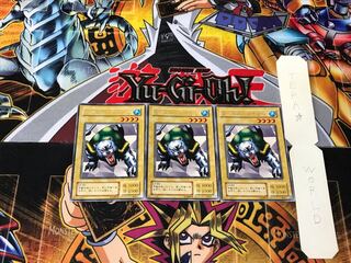 Turtle Tiger 2nd period ver 2 rare set of 3 tera