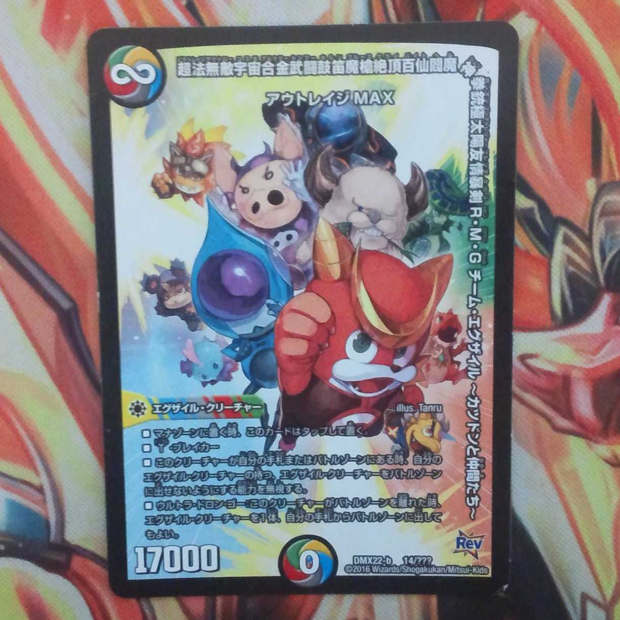 チーム・エグザイル~カツドンと仲間たち~ 1枚