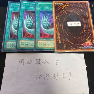 ハーピィの羽根帚　14849