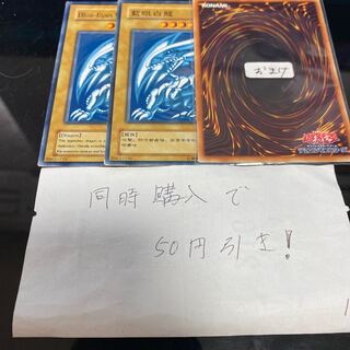 青眼の白龍　海外　14912